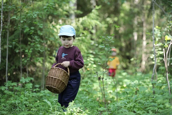 Barn går till skogen för svamp — Stockfoto