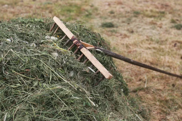 Limpieza con un rastrillo en una granja — Foto de Stock