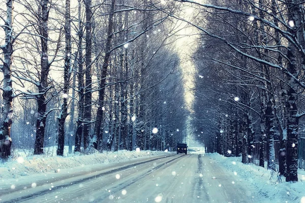 Drzewa drogowe zima — Zdjęcie stockowe