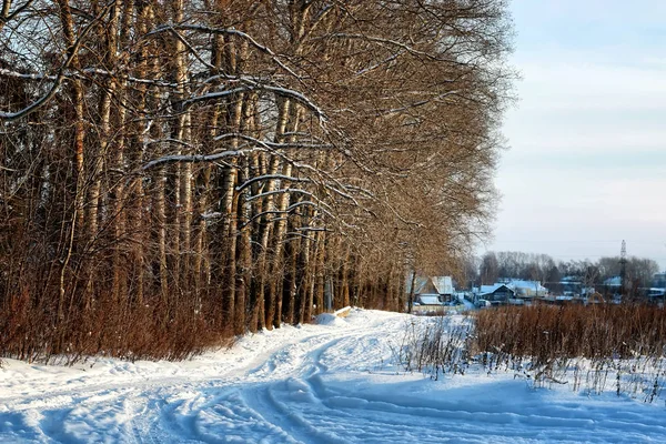 Ruelle du champ routier d'hiver — Photo