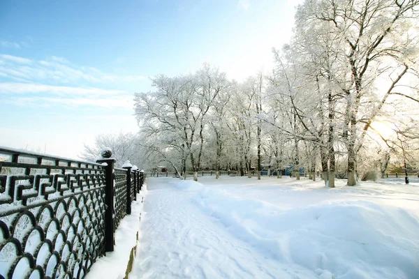 Cerca coberta neve parque de inverno — Fotografia de Stock