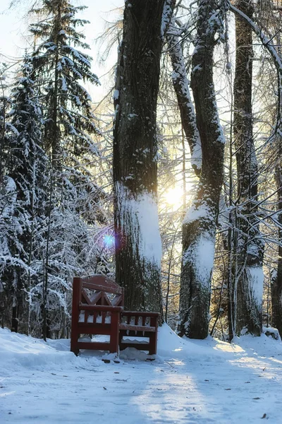 Trä bänk i vinter — Stockfoto