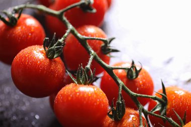 Dal taze kiraz domates ile. Olgun kırmızı domates. Domates bir