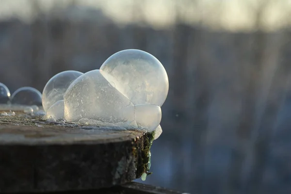 Tvål bubblor fryser i kylan. Vinter tvål vatten fryser i t — Stockfoto