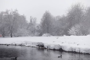 Karla kaplı Kış park ve banklar. Park ve beslenme için pier 