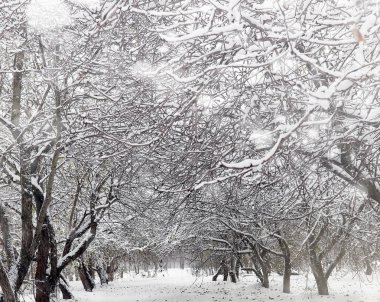 Karla kaplı Kış park ve banklar. Park ve beslenme için pier 