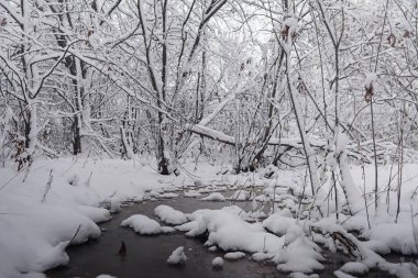 Karla kaplı Kış park ve banklar. Park ve beslenme için pier 