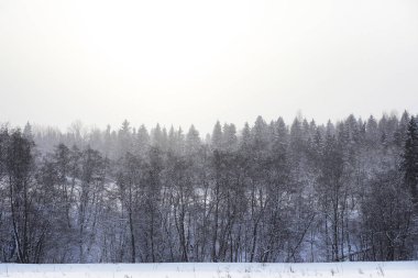Kış bulutlu günde manzara