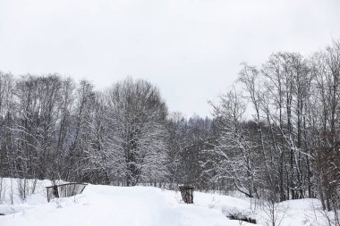 Kış bulutlu günde manzara