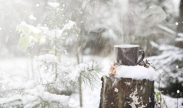 Kubek z kubkiem gorącego napoju w zimowym lesie. Gorące kakao z cinn — Zdjęcie stockowe