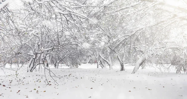 Parque de inverno coberto de neve e bancos. Parque e cais para alimentação — Fotografia de Stock