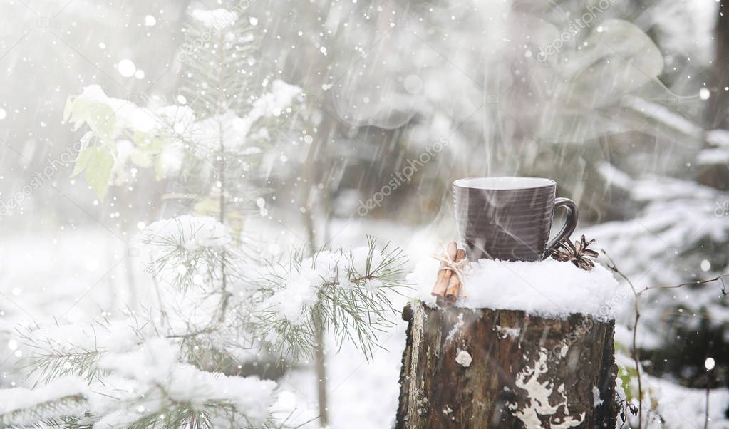 A cup with a hot drink in the winter forest. Hot cocoa with cinn