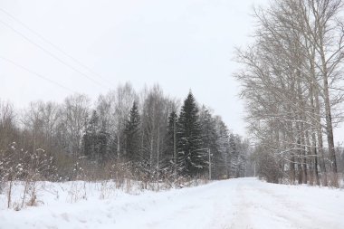Kış manzara kar expanses kaplı. Kışın bir parkta 