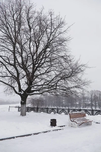 Winter city landscape. Winter park covered with snow. A bench un