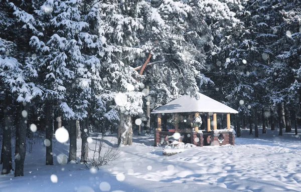 Drewniana altana w lesie w blizzard snow zima — Zdjęcie stockowe