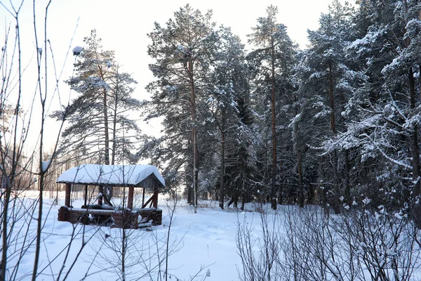 Дерев'яна альтанка в лісі в зимовий сонячний день — стокове фото