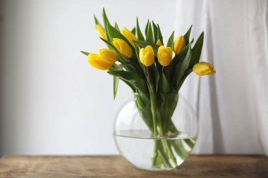 Bir buket pencere üzerinde bir vazoda Sarı laleler. Bir hediye t