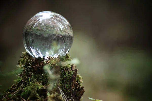 Bola de cristal. Um acessório mágico na floresta no toco. Rit. — Fotografia de Stock