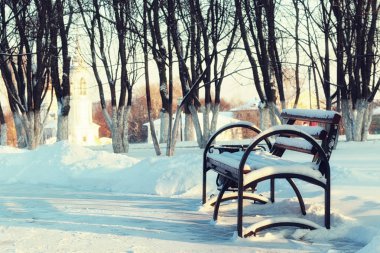 kış orman manzara güneş ışığı ve kar