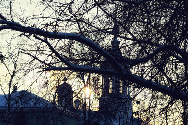 зимний лес солнечный свет и снег
