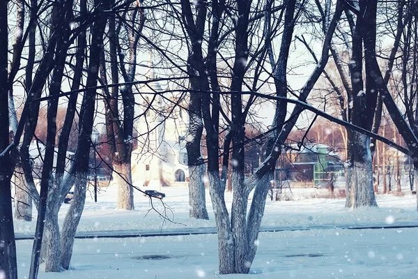 冬の森の風景日光と雪 — ストック写真