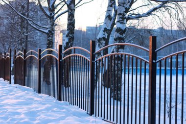 kış orman manzara güneş ışığı ve kar