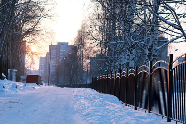 Inverno foresta paesaggio luce solare e neve — Foto Stock