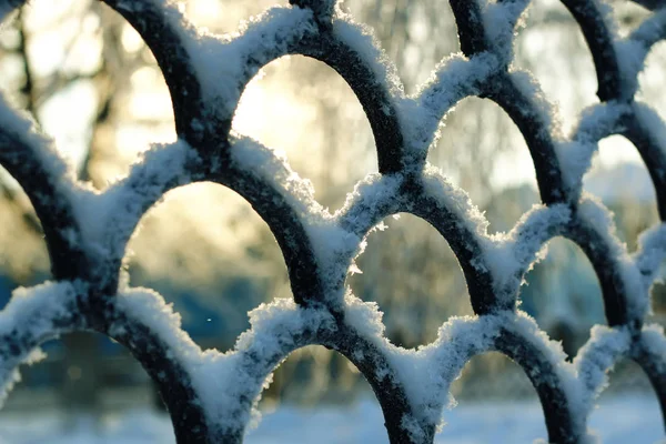 Winter Waldlandschaft Sonnenlicht und Schnee — Stockfoto