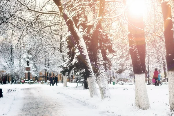 Winter forest landschap zonlicht en sneeuw — Stockfoto