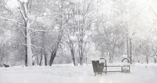 Verschneiter Winterpark und Bänke. Park und Anlegestelle zum Füttern — Stockfoto