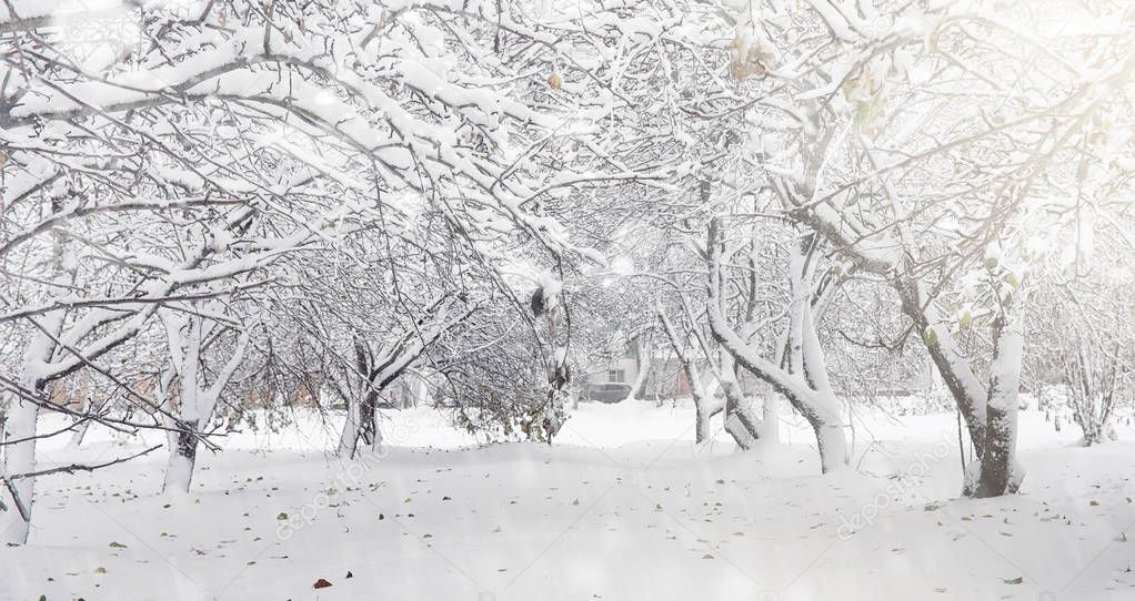 Snow-covered winter park and benches. Park and pier for feeding 