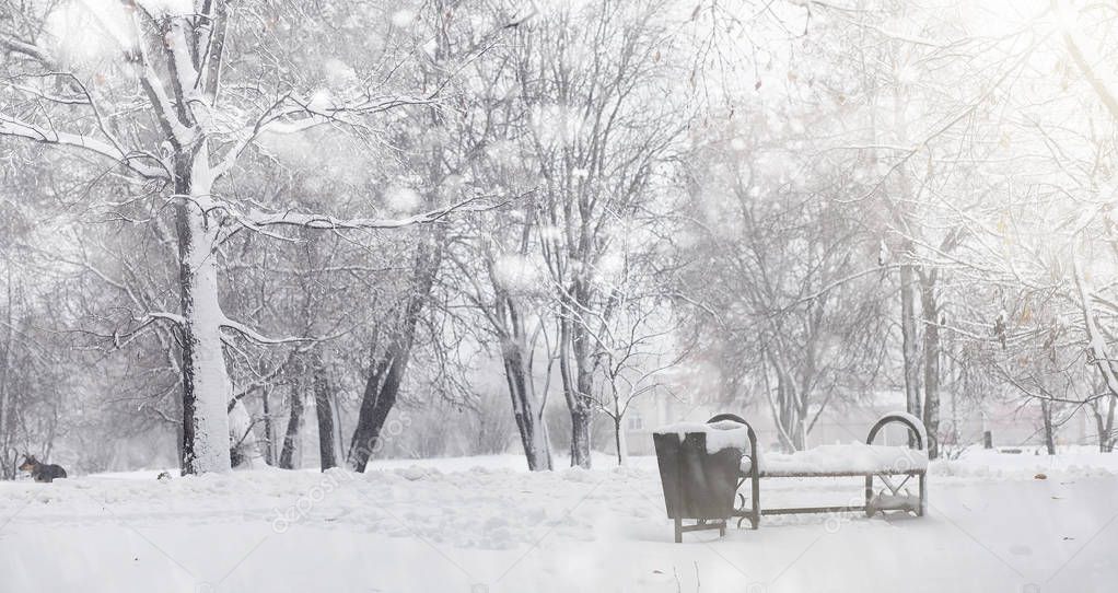 Snow-covered winter park and benches. Park and pier for feeding 