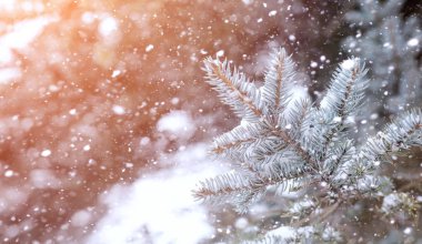 Kış manzara kar expanses kaplı. Kışın bir parkta 