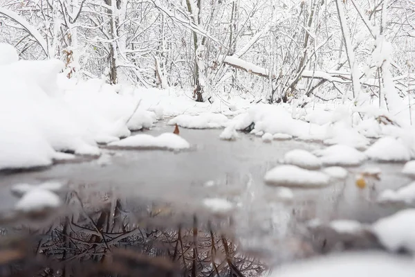 Parque de inverno coberto de neve e bancos. Parque e cais para alimentação — Fotografia de Stock