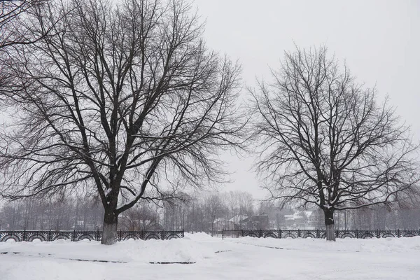 Winter city landscape. Winter park covered with snow. A bench un