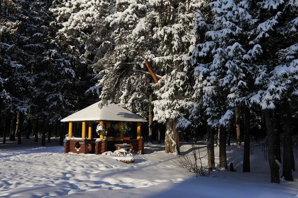 Houten prieel in bos in zonnige winterdag — Stockfoto