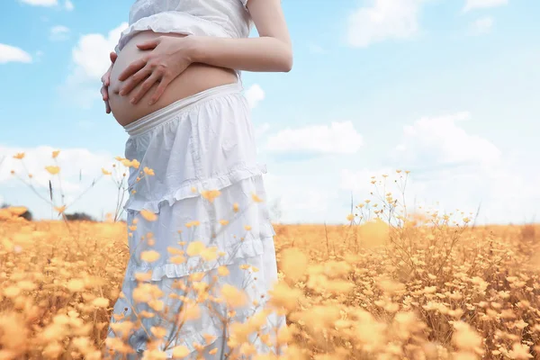 Kobieta w ciąży w naturze na spacer jesienią — Zdjęcie stockowe