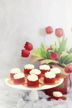 Güzel Festival pasta ile farklı kremler bisküvi