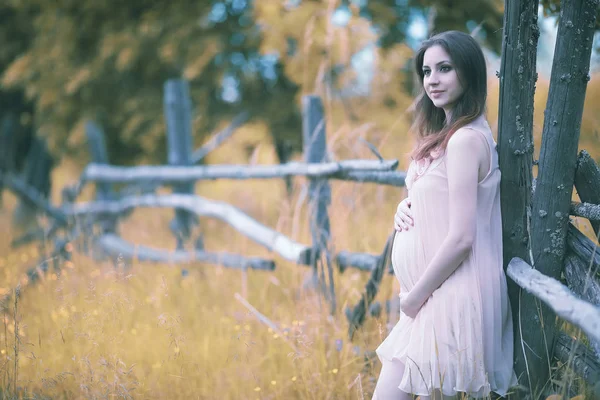 Doğada elbiseli hamile kız — Stok fotoğraf