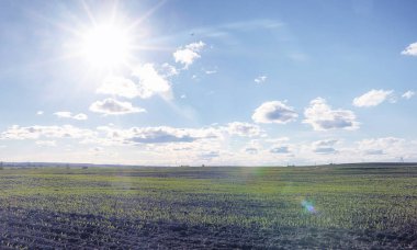 Yatay yaz mevsimindeyiz. Yeşil ağaç ve otların arasında kırsal arazi