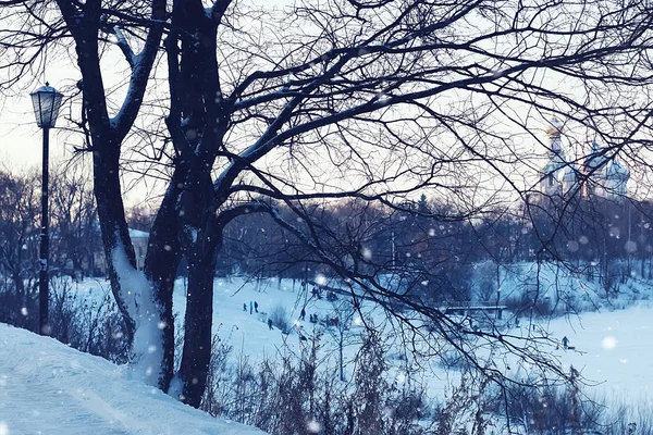 Winter licht straat en boom — Stockfoto