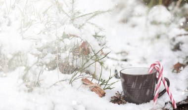 Kış orman sıcak bir içecek bir fincan. Cinn ile sıcak kakao