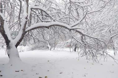 Karla kaplı Kış park ve banklar. Park ve beslenme için pier 