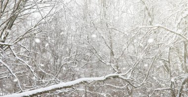 Kar altında kış parkı. Şehir parkında kar fırtınası. Park et!