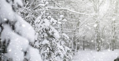 Kar altında kış parkı. Şehir parkında kar fırtınası. Park et!