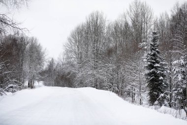 Kış bulutlu günde manzara