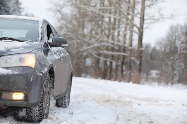 Gri ormandaki yolda arabadır. Ülke gezisi
