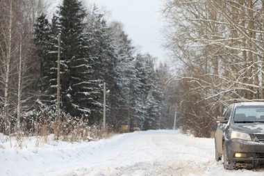 Gri ormandaki yolda arabadır. Ülke gezisi