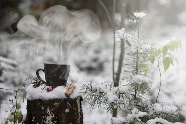 Чашка с горячим напитком в зимнем лесу. Горячий какао с корицей — стоковое фото