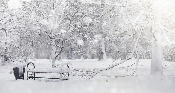 Заснеженный зимний парк и скамейки. Парк и пирс для кормления — стоковое фото